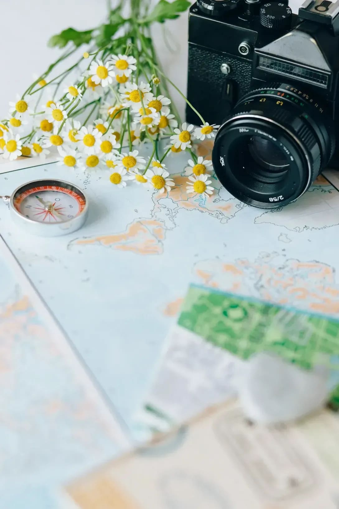 Absolu Voyages 9